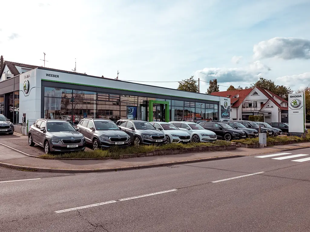 WDS Skoda 1024x768