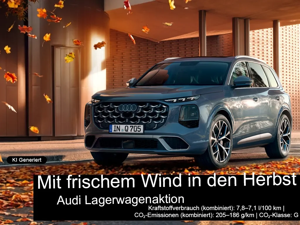 Audi Lagerwagen